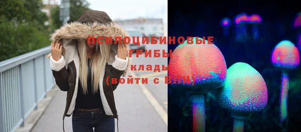 гидра Верея