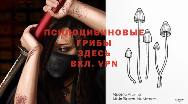 гашиш Володарск