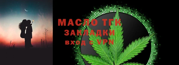 амф Верхний Тагил