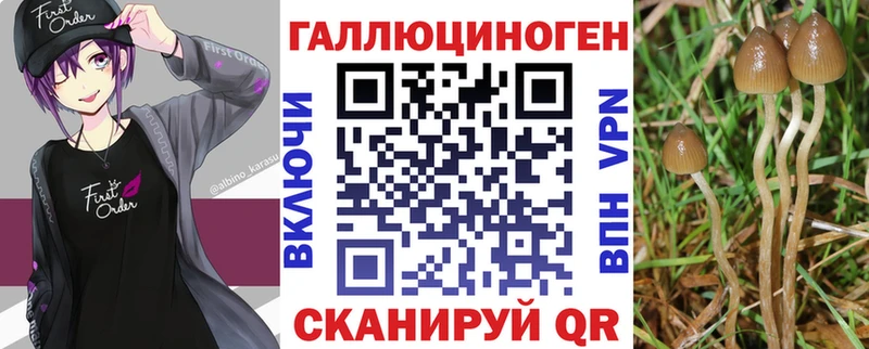 Псилоцибиновые грибы Magic Shrooms  Чишмы 